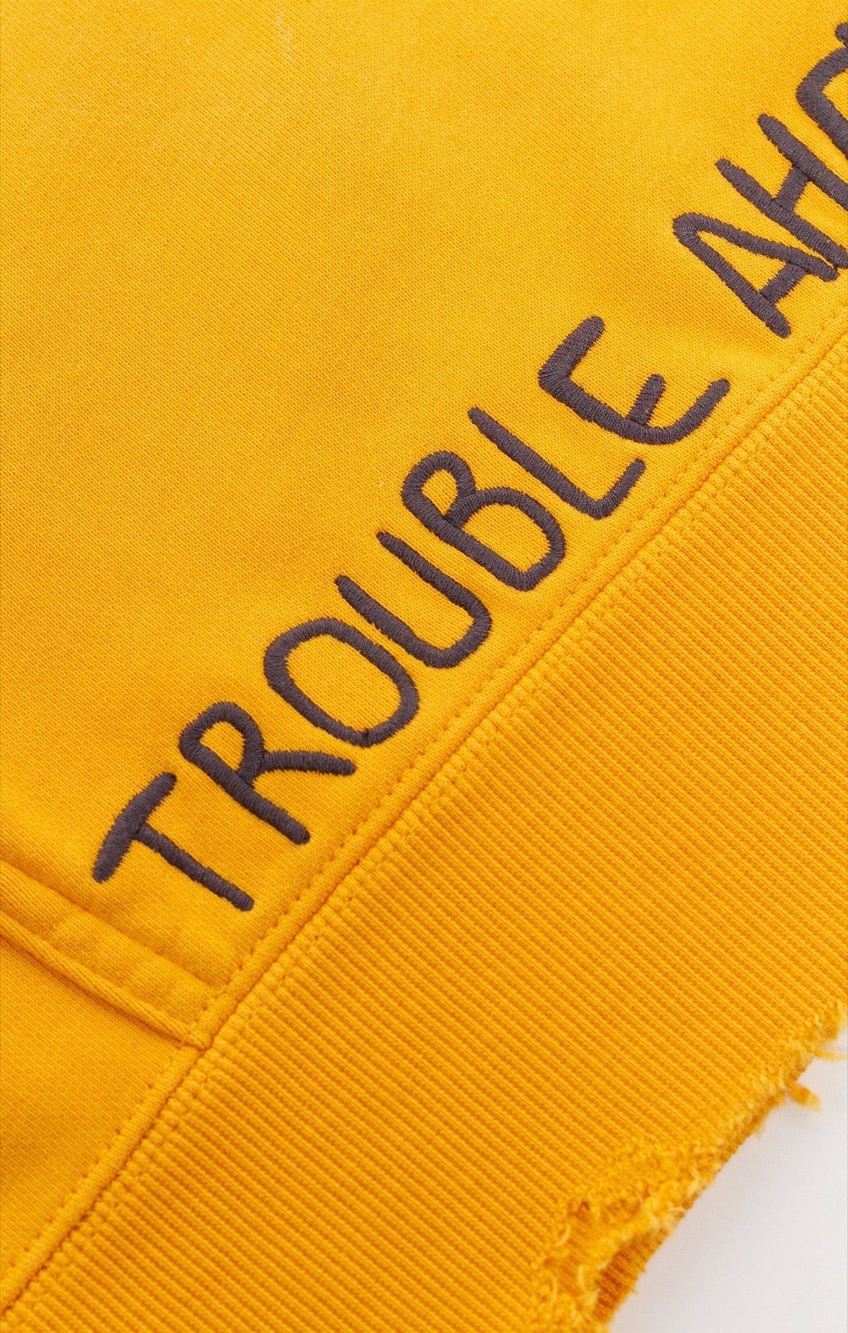 BLDG4 - Tower Hoodie - Golden Glow — front view